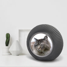 Laden Sie das Bild in den Galerie-Viewer, Bio-Fotourne Strahlen