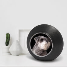 Laden Sie das Bild in den Galerie-Viewer, Bio-Fotourne Pur