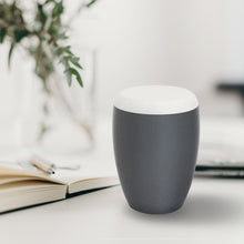 Laden Sie das Bild in den Galerie-Viewer, Bio-Tierurne Pur