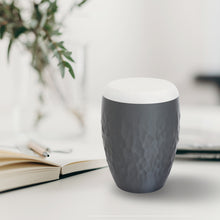 Laden Sie das Bild in den Galerie-Viewer, Bio-Tierurne Voronoi