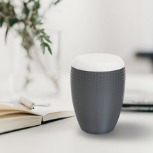 Laden Sie das Bild in den Galerie-Viewer, Bio-Tierurne Diamant