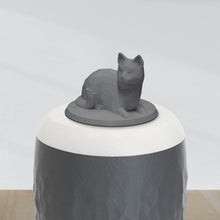 Laden Sie das Bild in den Galerie-Viewer, Bio-Topping Katze liegend