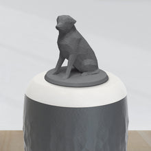 Laden Sie das Bild in den Galerie-Viewer, Bio-Topping Labrador