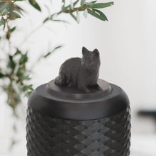 Laden Sie das Bild in den Galerie-Viewer, Bio-Topping Katze liegend