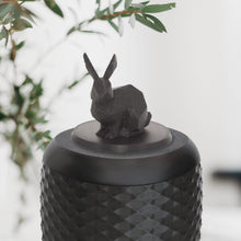 Laden Sie das Bild in den Galerie-Viewer, Bio-Topping Hase