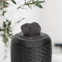 Laden Sie das Bild in den Galerie-Viewer, Bio-Topping Meerschweinchen