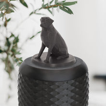 Laden Sie das Bild in den Galerie-Viewer, Bio-Topping Labrador