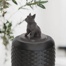 Laden Sie das Bild in den Galerie-Viewer, Bio-Topping Bulldogge