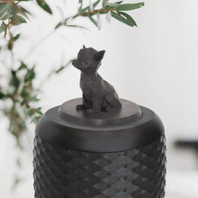 Laden Sie das Bild in den Galerie-Viewer, Bio-Topping Chihuahua