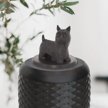 Laden Sie das Bild in den Galerie-Viewer, Bio-Topping Terrier