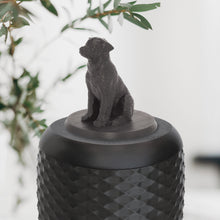 Laden Sie das Bild in den Galerie-Viewer, Bio-Topping Golden Retriever