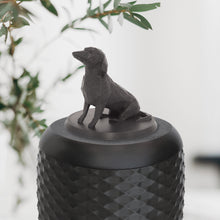 Laden Sie das Bild in den Galerie-Viewer, Bio-Topping Dackel