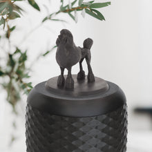 Laden Sie das Bild in den Galerie-Viewer, Bio-Topping Pudel