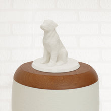 Laden Sie das Bild in den Galerie-Viewer, Bio-Topping Golden Retriever