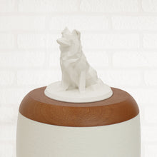 Laden Sie das Bild in den Galerie-Viewer, Bio-Topping Australian Shepherd