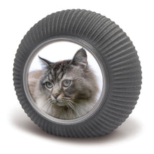 Laden Sie das Bild in den Galerie-Viewer, Bio-Fotourne Strahlen