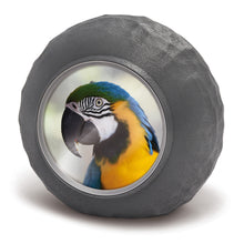 Laden Sie das Bild in den Galerie-Viewer, Bio-Fotourne Voronoi