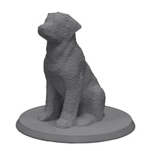 Laden Sie das Bild in den Galerie-Viewer, Bio-Topping Golden Retriever