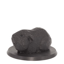 Laden Sie das Bild in den Galerie-Viewer, Bio-Topping Meerschweinchen