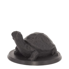 Laden Sie das Bild in den Galerie-Viewer, Bio-Topping Schildkröte