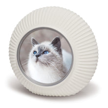 Laden Sie das Bild in den Galerie-Viewer, Bio-Fotourne Strahlen