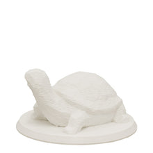 Laden Sie das Bild in den Galerie-Viewer, Bio-Topping Schildkröte